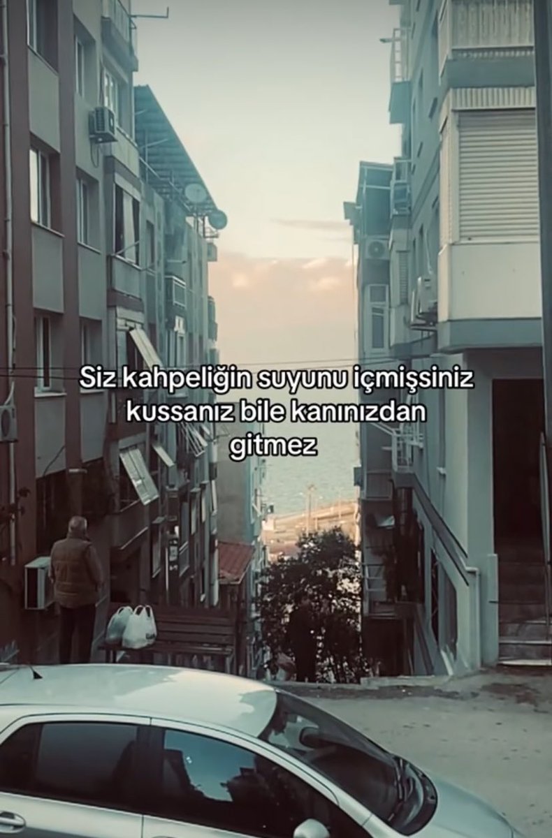 Adar Mives (@adarmives) on Twitter photo 