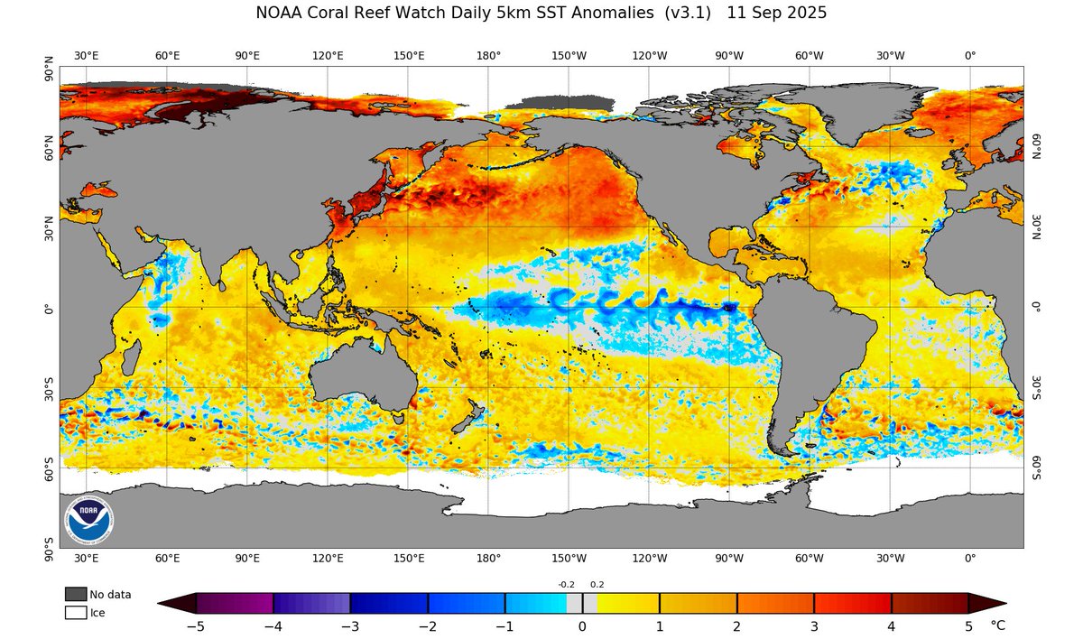 J. Mesh, AMS 🇺🇸 tweet media