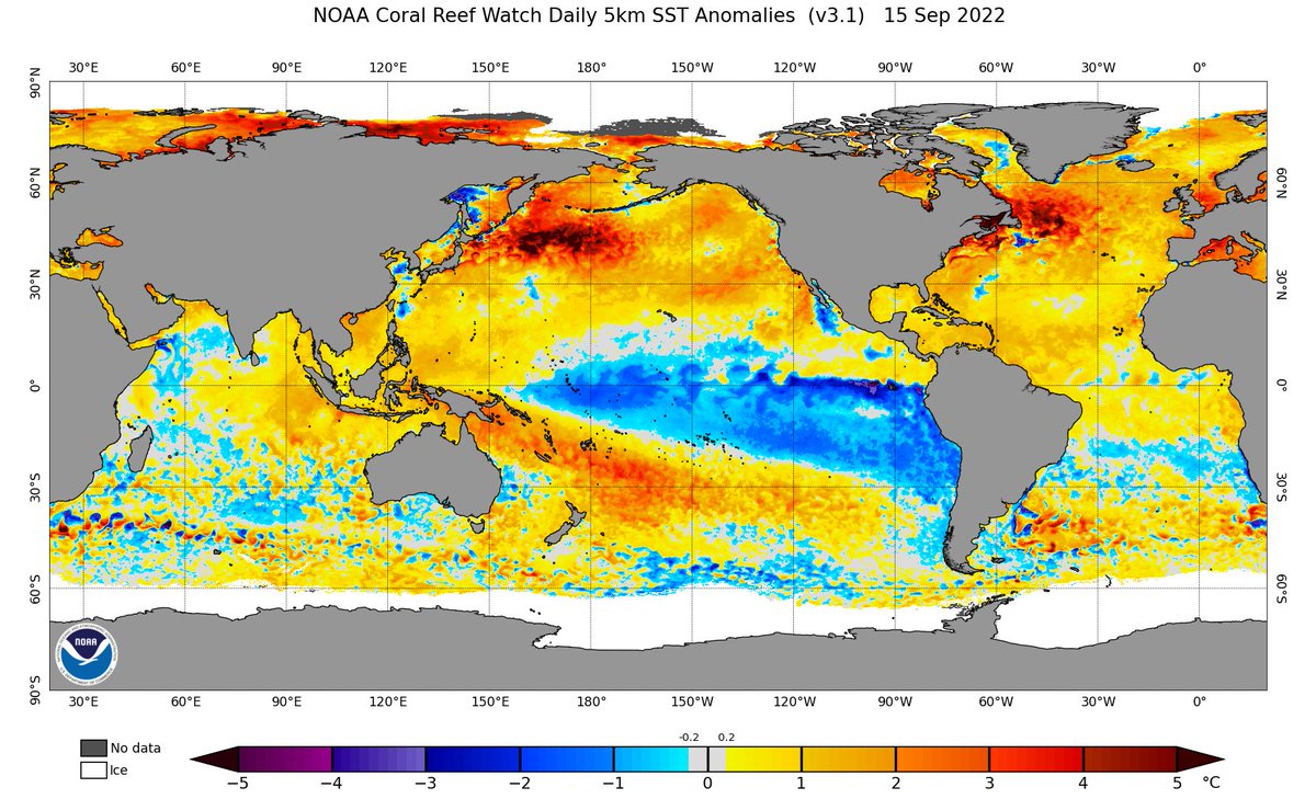 J. Mesh, AMS 🇺🇸 tweet media