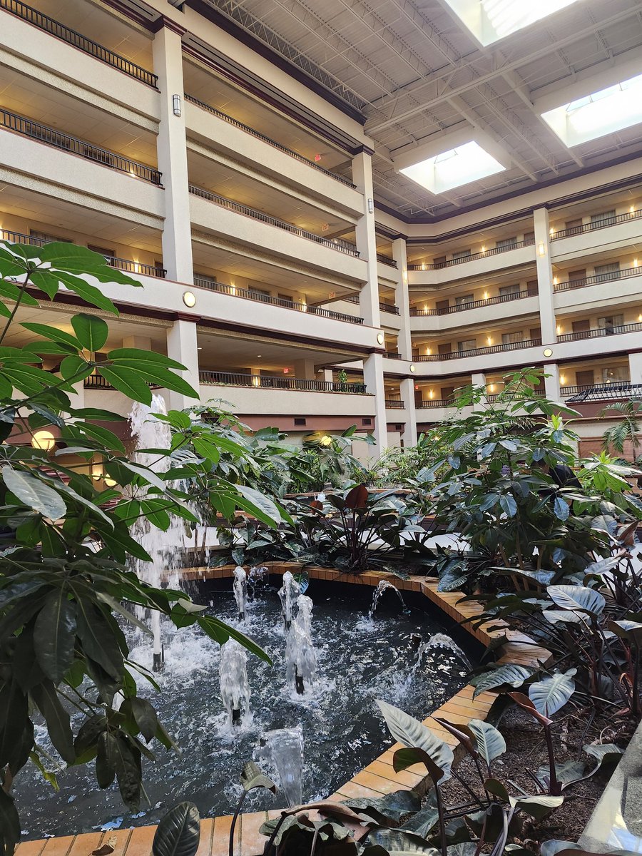 UPIKEFOOTBALL's tweet image. There’s only one way to travel First Class.

🚌 Gold Shield Transportation for the ride
🏨 Embassy Suites for the stay

Because we invest in our Bears.
How does your team travel? #GoBears #FirstClass #BearRaid