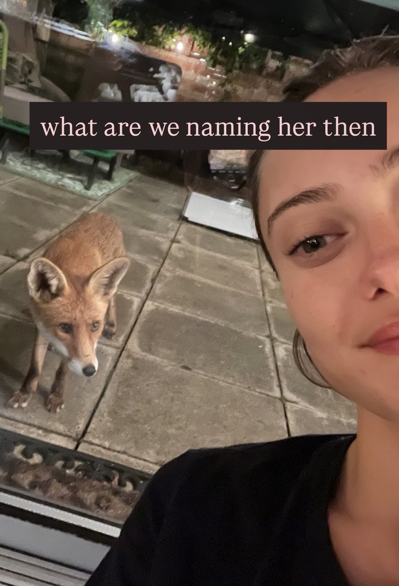 her and these damn foxes