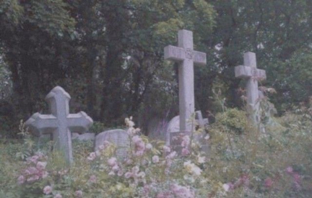 devilishcals's tweet image. -----hellbaby (or h)
• 24 (mdnf !)
• genderfucked demonic creature (they / it)
• ednos (b/p, r)

 ♡ / ↺ to be moots!