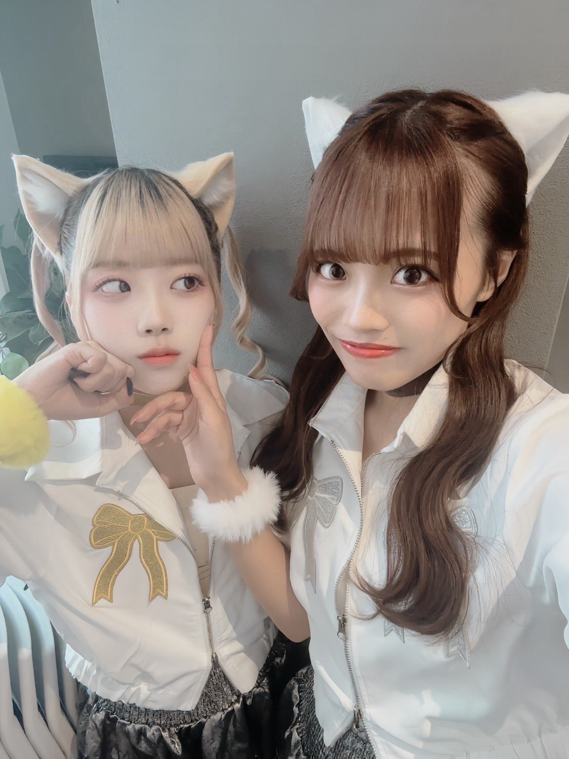 サニサー - Search / X