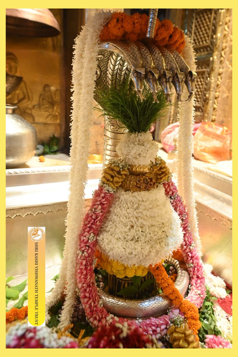 ShriVishwanath's tweet photo. आज श्री काशी विश्वनाथ जी की श्रृंगार आरती I
#kashivishwanath #kashi #sanatandharma #banaras https://t.co/y4jhWunuUq