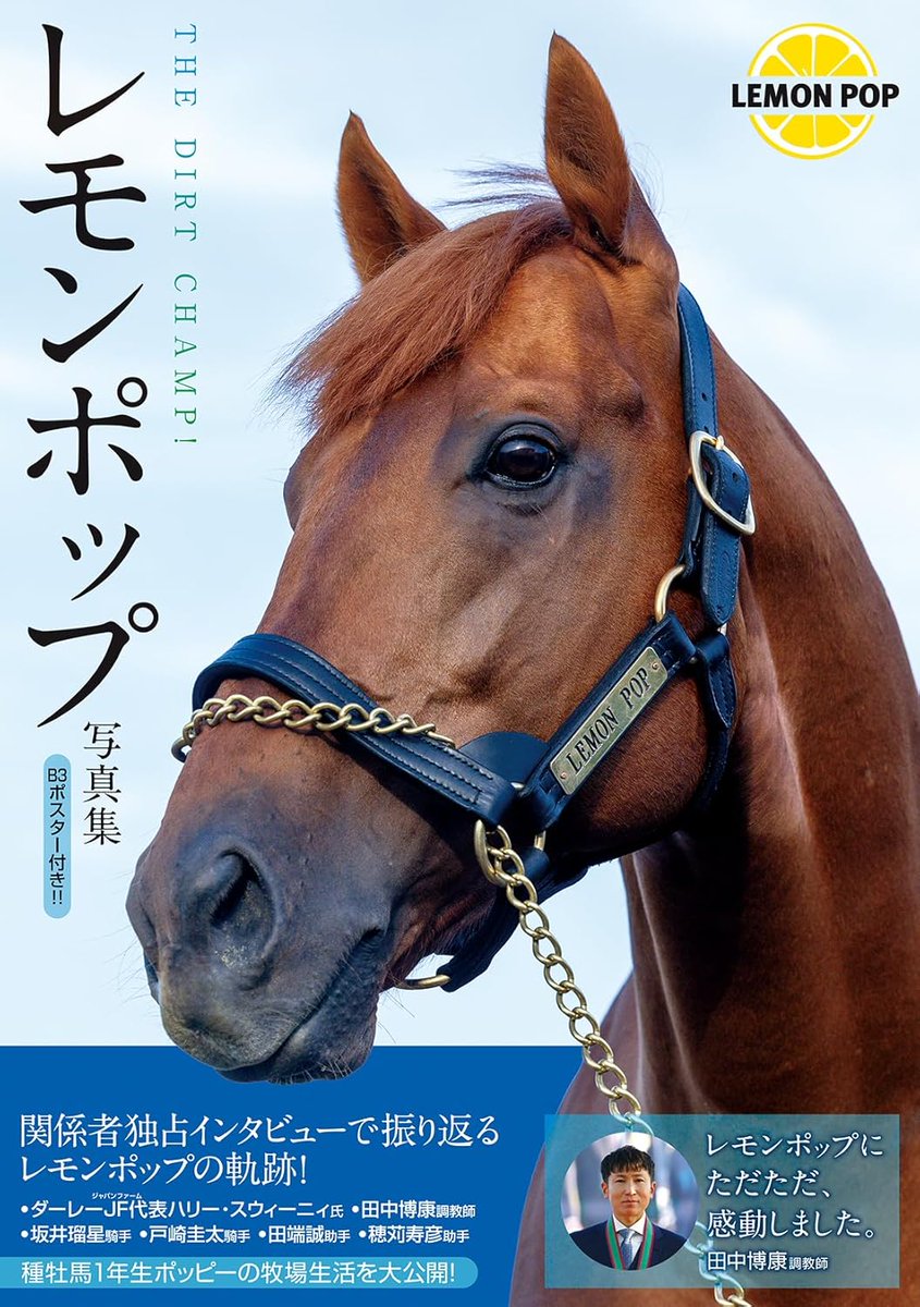 レモンポップ　ジャンパー　サイズＸＬ　競馬