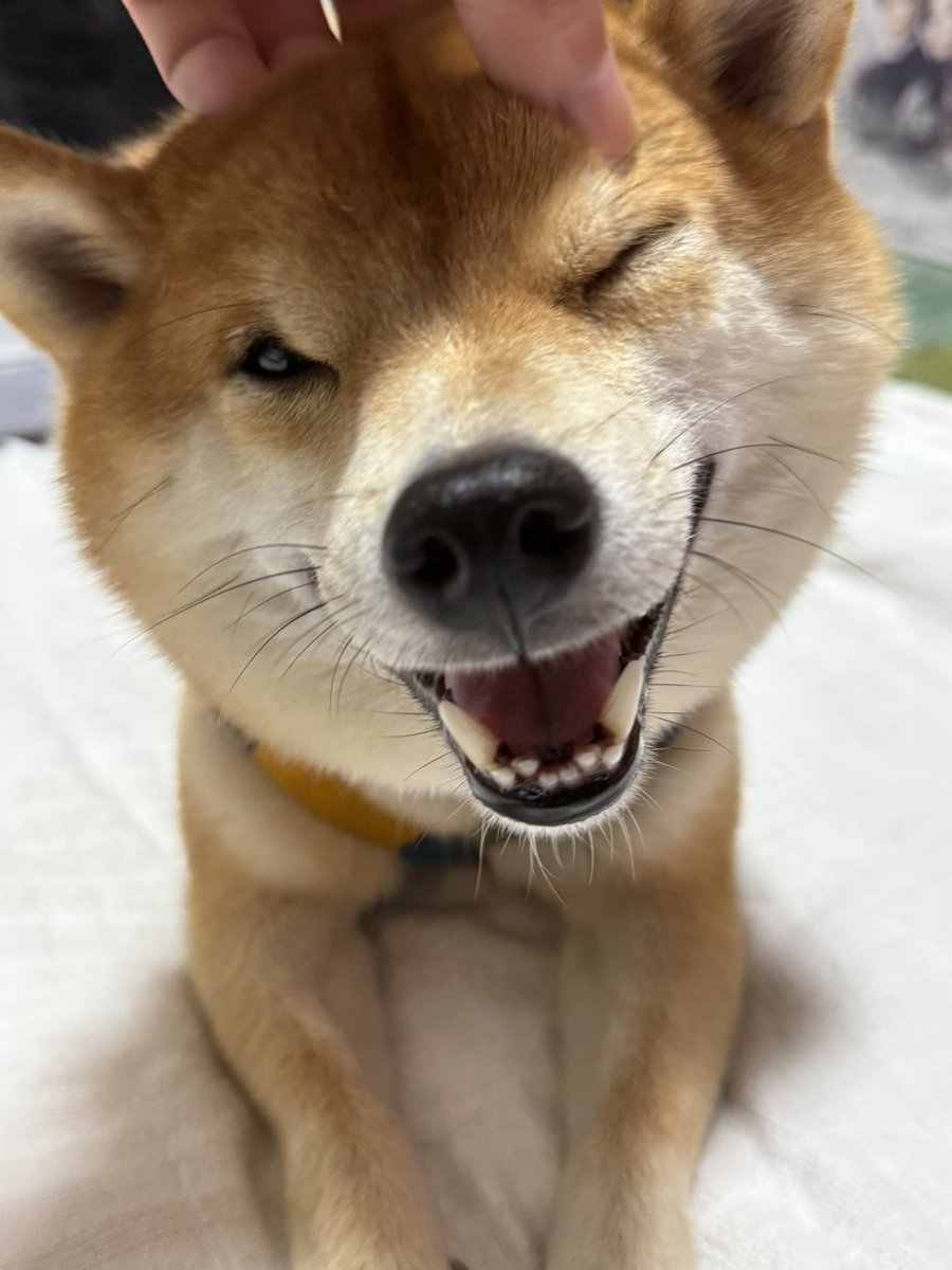 Wish a Joyful Friday!

Share-Comment-Like

Should I still continue to work on the Kpop Demon Hunter Girls?

#Mira #Zoey #Rumi #RumiHuntrX #KPOPDEMONHUNTERS #hentai #nsfw