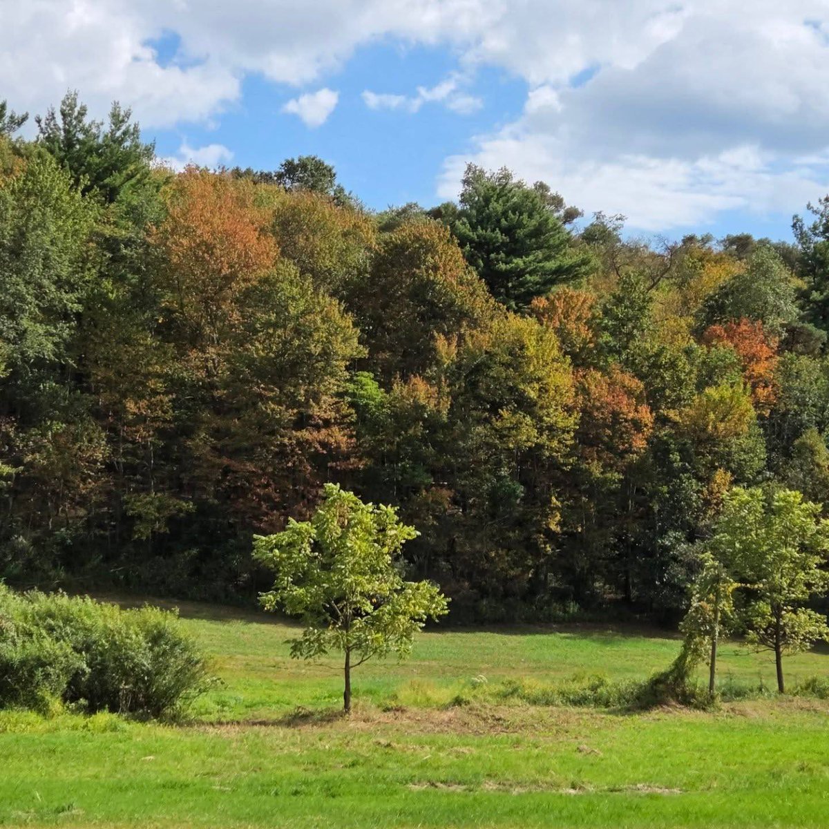 My first foliage friday of the year from West Penn Elementary! 

Can I see every student in one day?

Yes I Can!

If your child attended today ask them about it!

~Clarissa from SARCC~