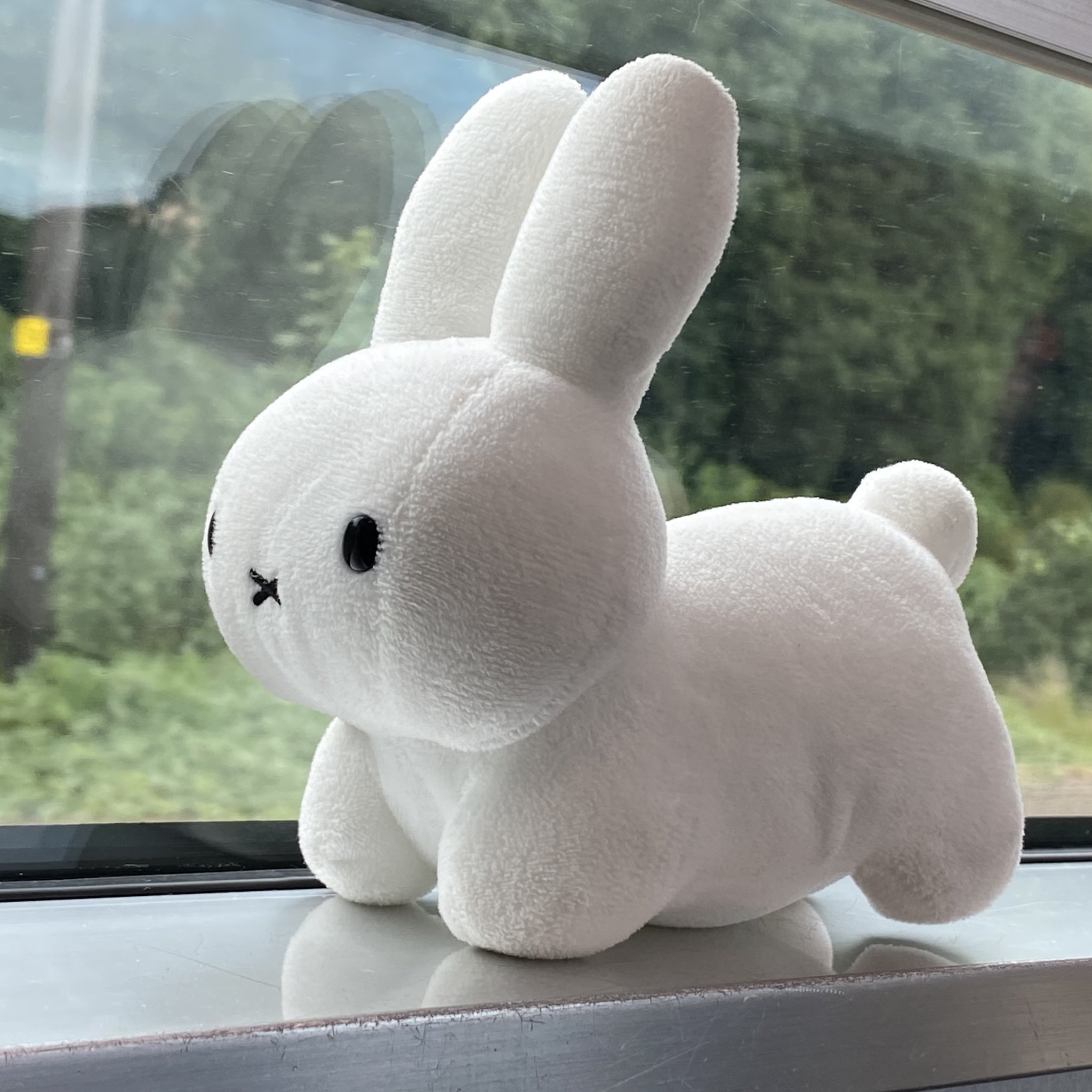 野生のうさぎ on X: 