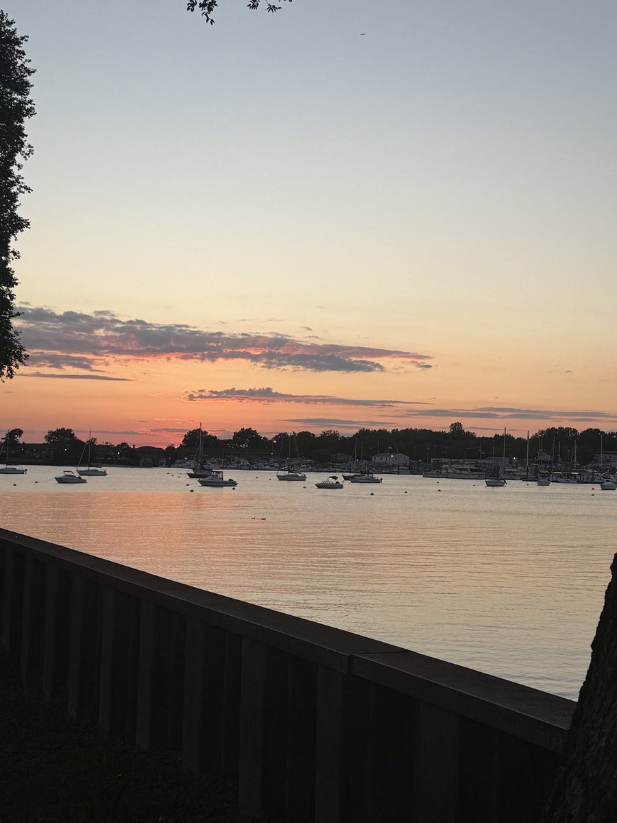 Anthony Scaramucci tweet media