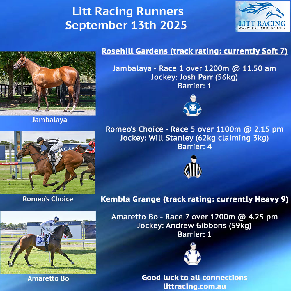 Team Litt heads to Rosehill and Kembla Grange today with three runners. JAMBALAYA is 4th up with blinkers applied, ROMEO'S CHOICE is freshened for the 1100m, and first-up winner AMARETTO BO is over 1200m. Good luck to all connections, our equine athletes, and their jockeys.