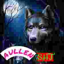 SSen Høldin tweet media