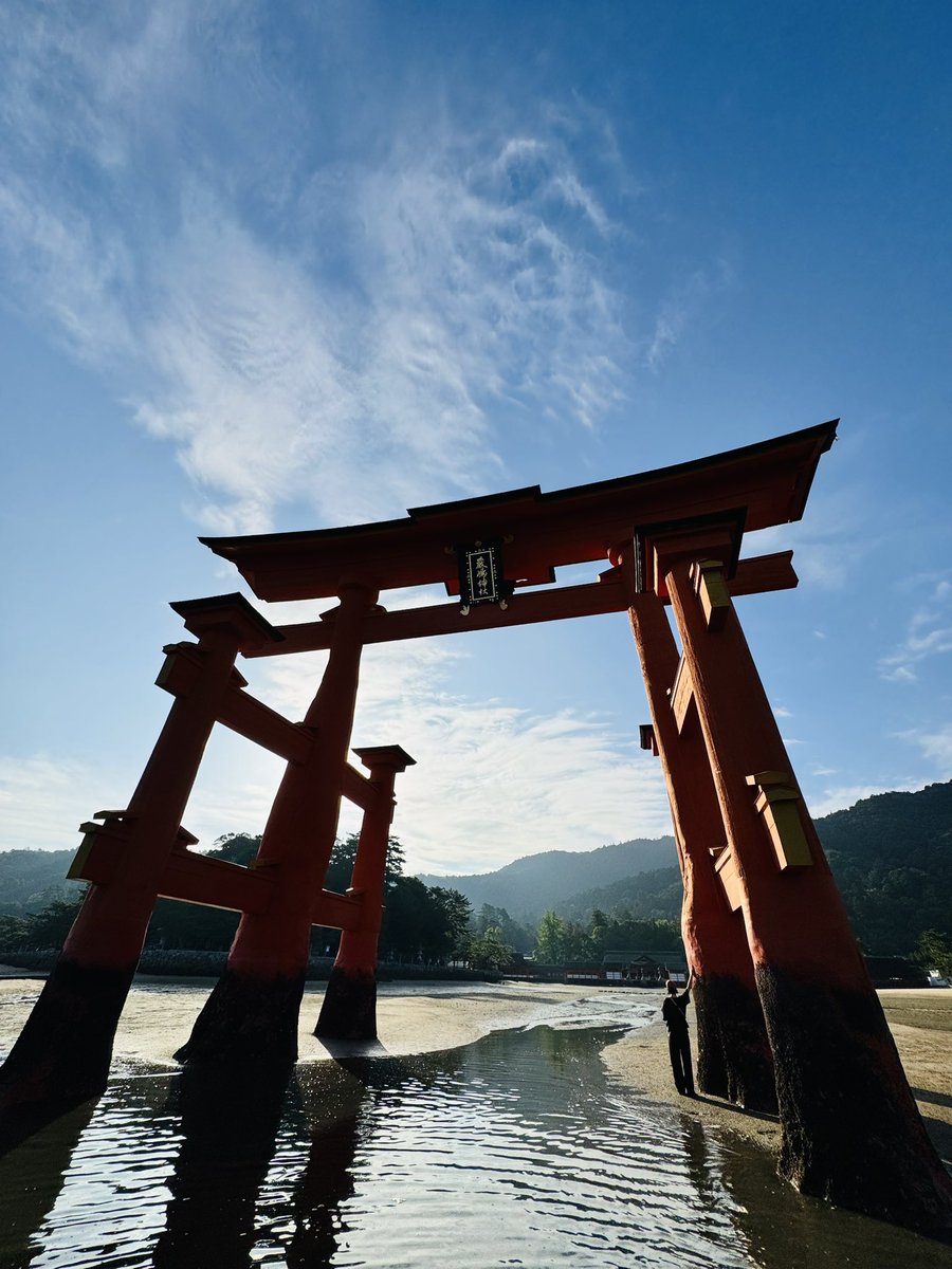絵銭 厳島神社☆空海／安芸の宮島／極美品／希少絵銭／お守り銭／パワースポット 大型絵銭 七福神☆天保通宝形／希少／福神／お守り銭／パワー