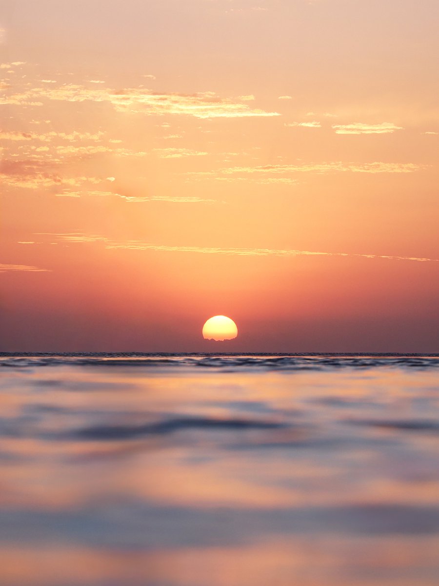 Sydney sunrise ✨

instagram.com/p/DOdH-ssEtwU/

OM SYSTEM OM-3 📸💜

#OMSYSTEM #OM3 #australia #sydney #bronte #beach #photography #mirrorless #camera #photographer #seeaustralia #m43 #vante #sunrise #itsinournature