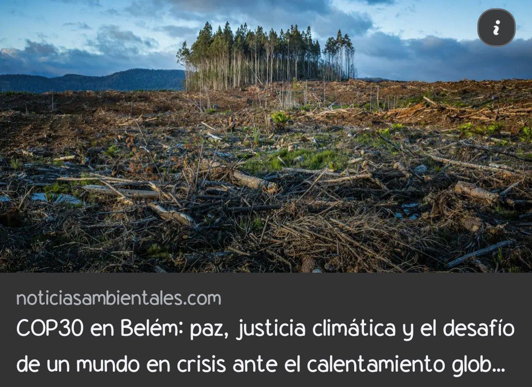 ne_minppau's tweet image. 🌿🌎 ¡COP30 en Belém, Brasil (10-21 nov 2025)!
Epicentro global de la lucha climática reunirá a líderes, científicos, indígenas y movimientos sociales.
Debates urgentes sobre crisis ecológica, justicia social y geopolítica.
#COP30 #CambioClimático #Belém2025