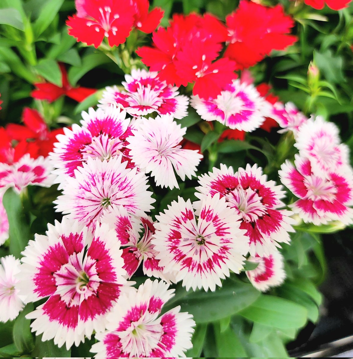 おはようございます

昨日は前日からの仕事
そのまま深夜から仕事で眠気MAX

久しぶりに眠気に負けて
帰ってきて寝落ちしていた🤣

慌てて仕事だと起きたら
少しして休みだと気づいた🤭

素敵な週末をお過ごしください🤗