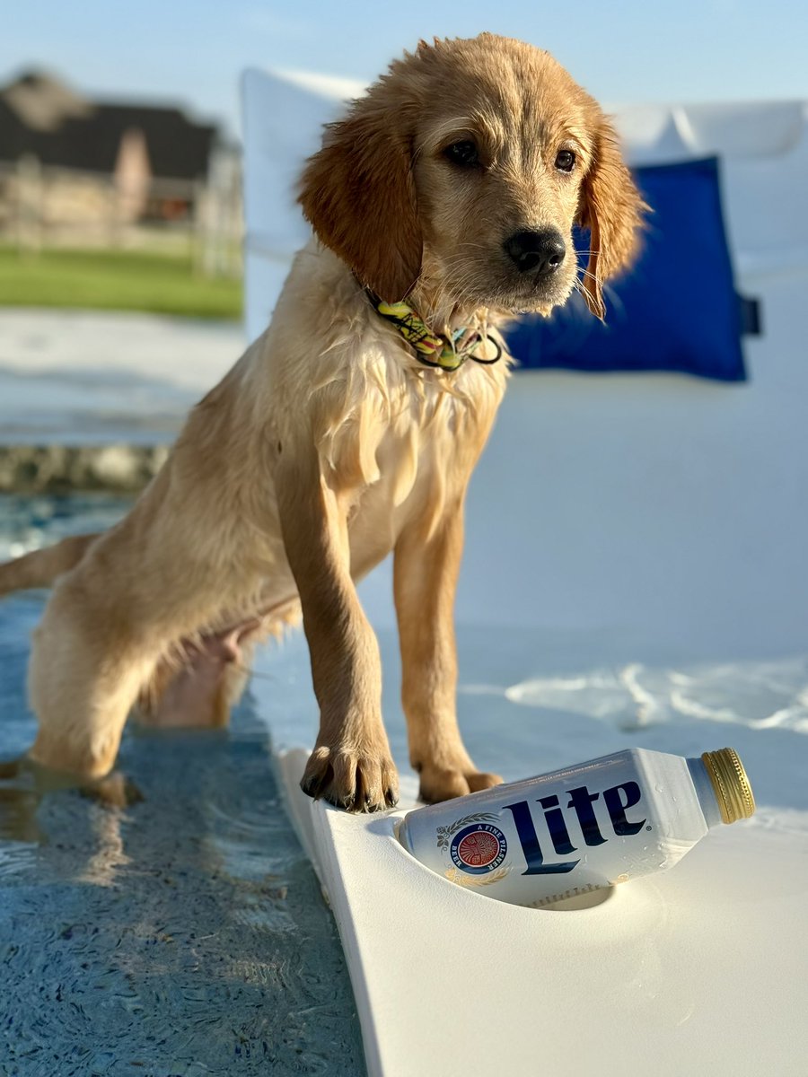 mdholmesio's tweet photo. @MillerLite thought you’d enjoy this as much as we do! https://t.co/nTDbUpjZTu