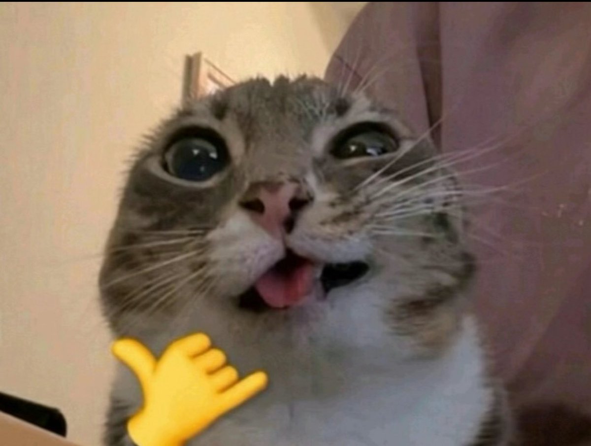 𝓜𝔂𝓼𝓽𝓲𝓬 💯 tweet media