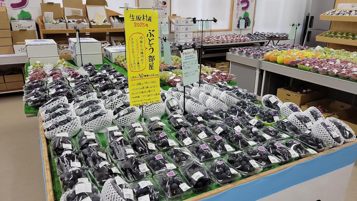 長野県　生坂村　ぶどうカード第2弾コンプリートセット 長野県 生坂村 ぶどうカード第2弾コンプリートセット