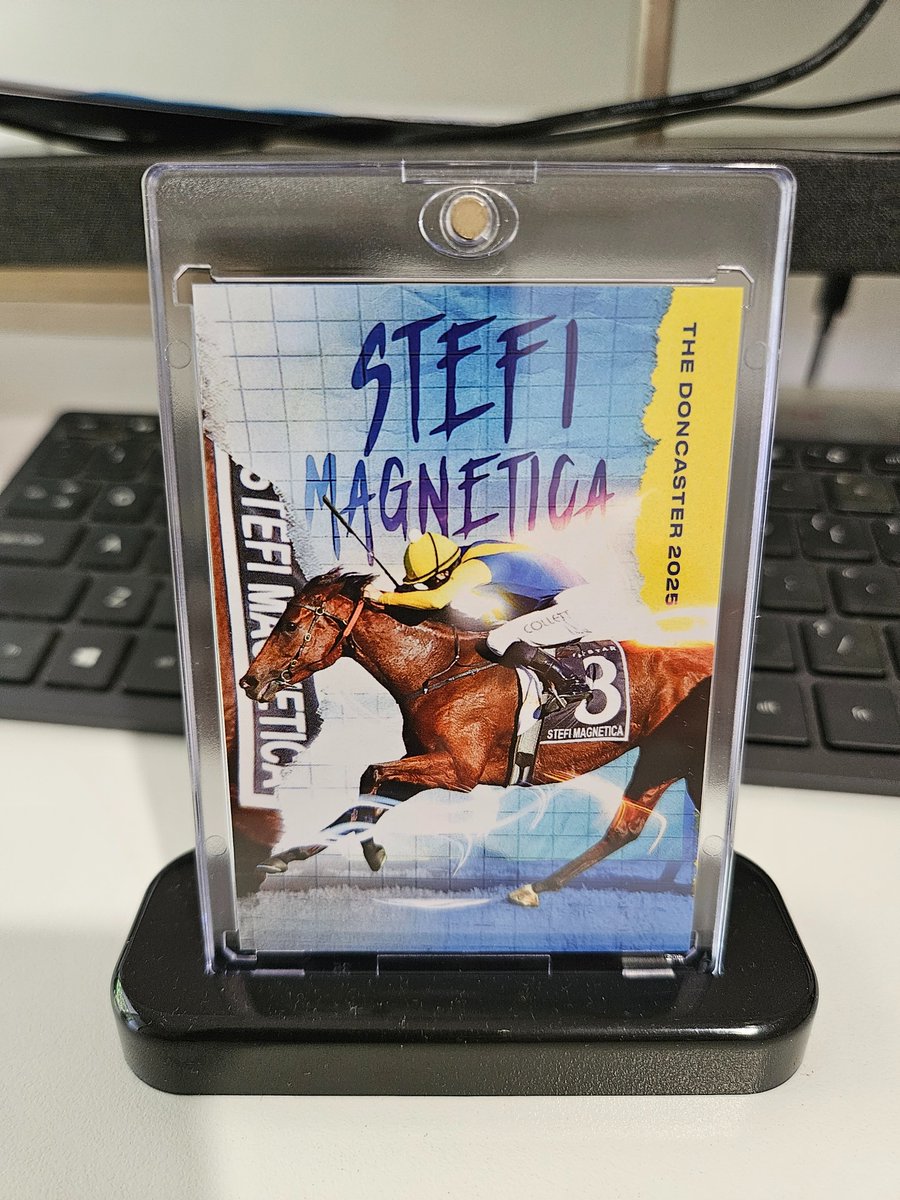 Stefi Magnetica custom card for connections 👍#sidelineseries Good luck today in the GR2 Sheraco Stakes!