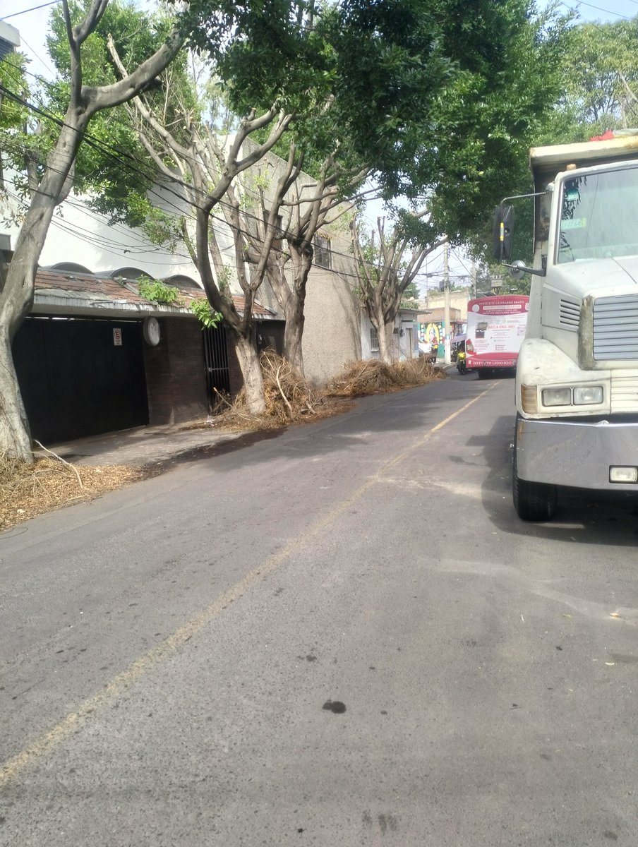 Mauricio Montaño tweet media