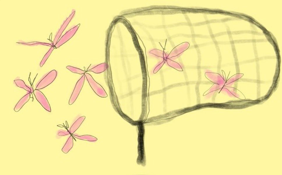 -Catching butterflies-
