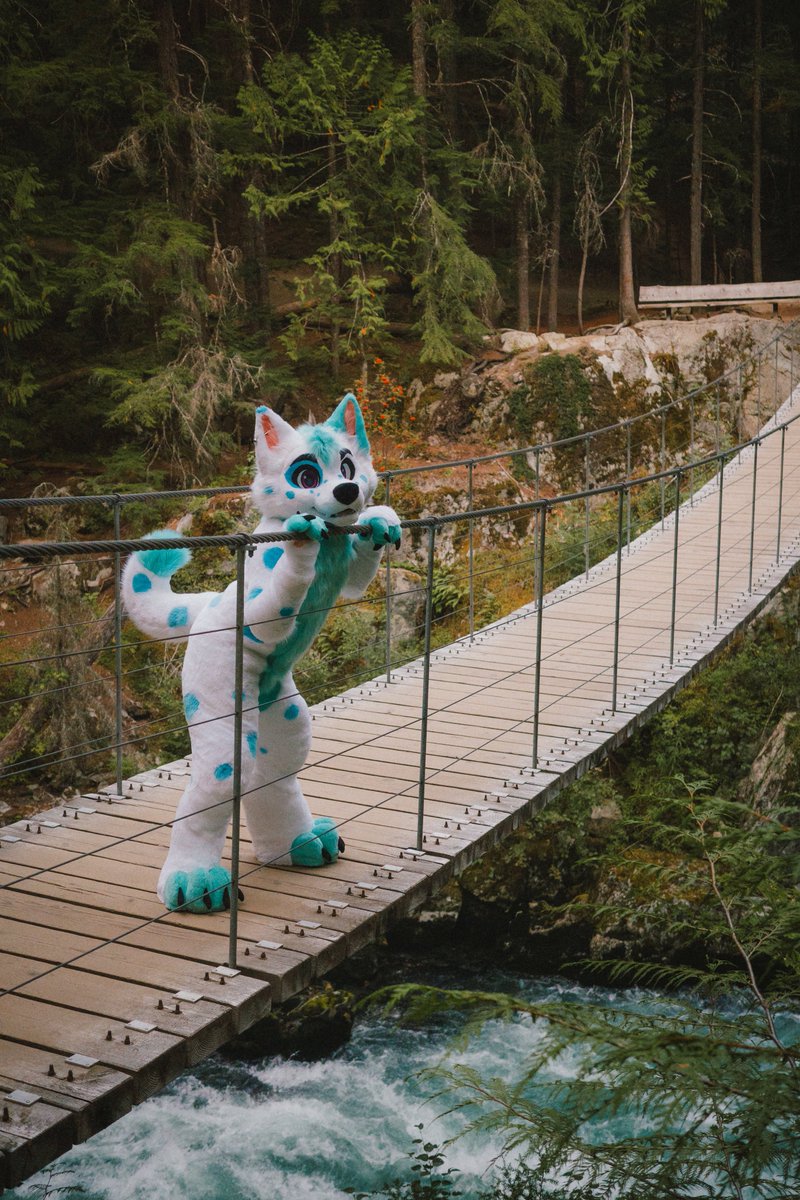 Desperately needing more days where a cute girl leads me out to the woods and proceeds to nerd out about plants and stuff. Yall are about to get so many #fursuitfriday posts from Angel and I 🤣

🐶: <a href="/BattitudeStudio/">Battitude 🦇🪡</a> 
📸: <a href="/lacelapin/">Angel 🎀 🔜 ANW</a>