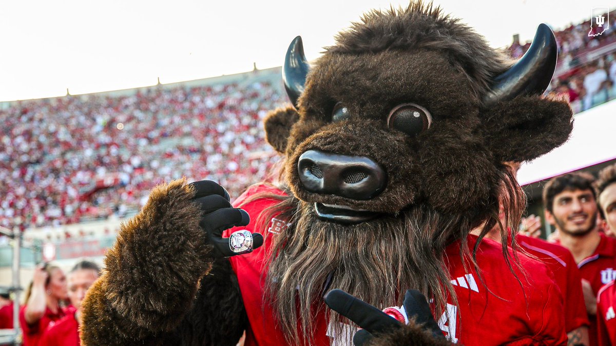 Fresh bling courtesy of <a href="/IndianaSwimDive/">Indiana Swim & Dive</a> . 💍😮‍💨