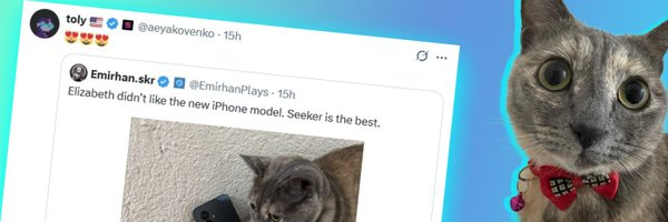 tweet item media