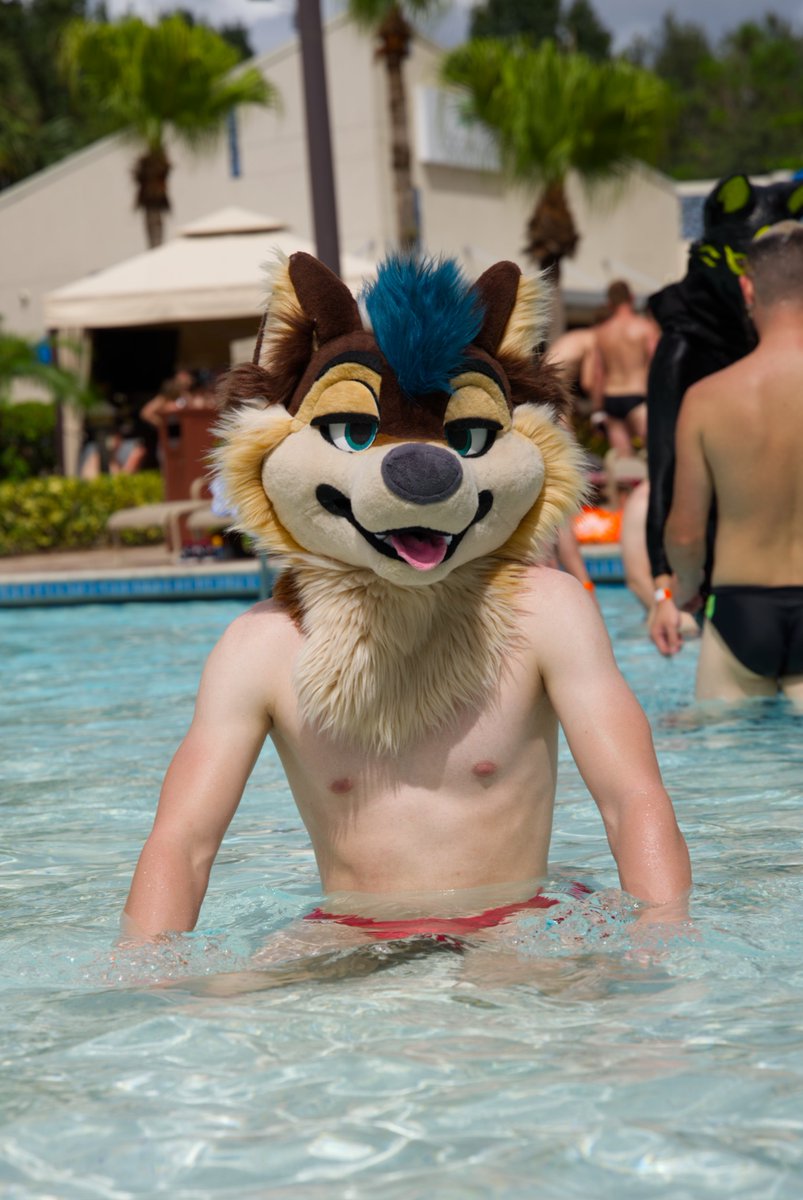 AlpineAskee 🔜 FWA tweet media