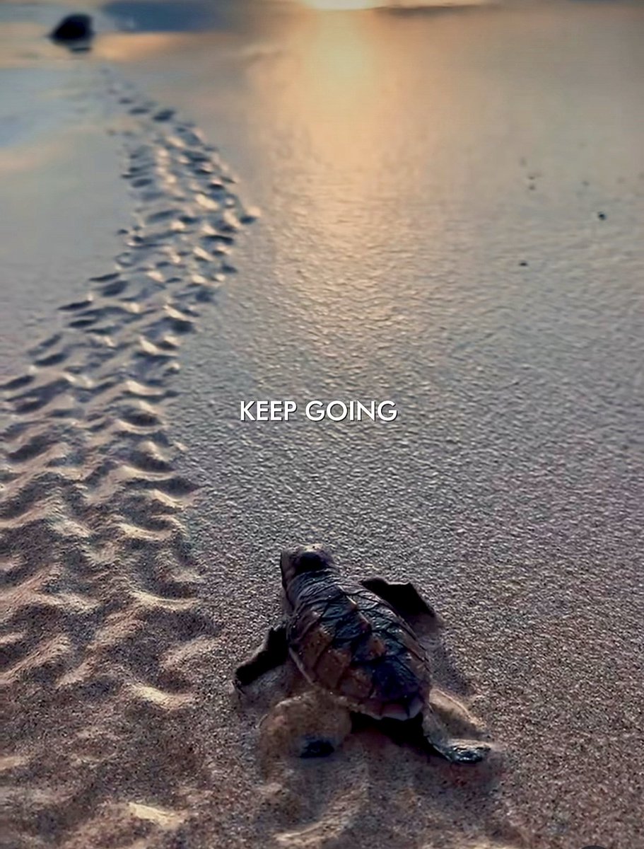 FantasticLiving's tweet image. #WeekendWisdom
#MotivationalMoments
#BuildYourOwnFuture
#LivingFantasticLife