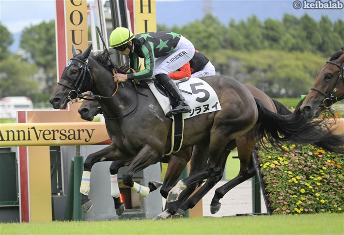 ハッセルバインク 2025年最新】Yahoo!オークション -wccf ハッセルバインク(WCCF