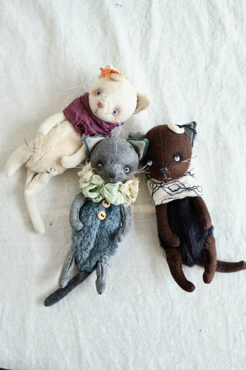 新家 智子 (@okotas64) / Posts / X