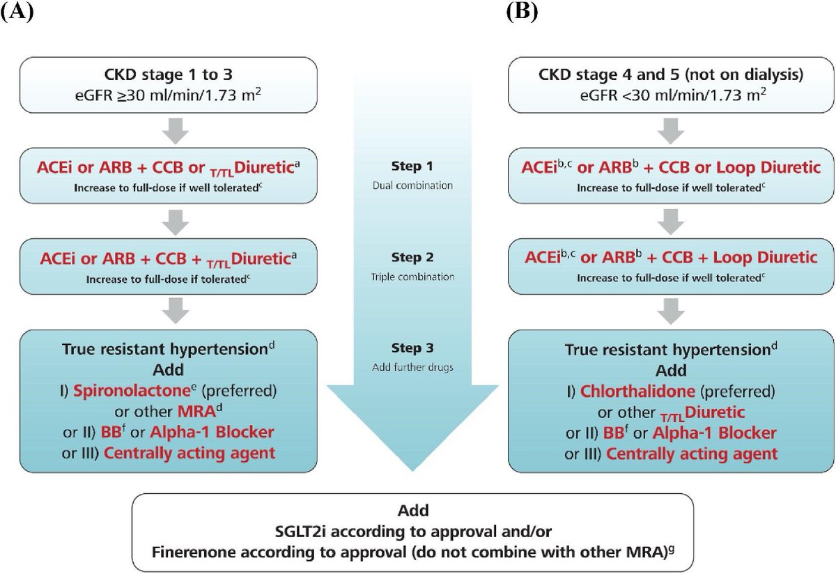 Managing #Hypertension in #CKD

📊eGFR ≥30: ACEi/ARB+ CCB +T/TL diuretic → add MRA/BB/others if resistant

📊eGFR &lt;30, not dialysis: ACEi/ARB + CCB+ Loop diuretic→ add chlorthalidone/BB/others if resistant

⚡SGLT2i &amp; finerenone as approved

🔗 doi.org/10.1093/ckj/sf…

#HTN