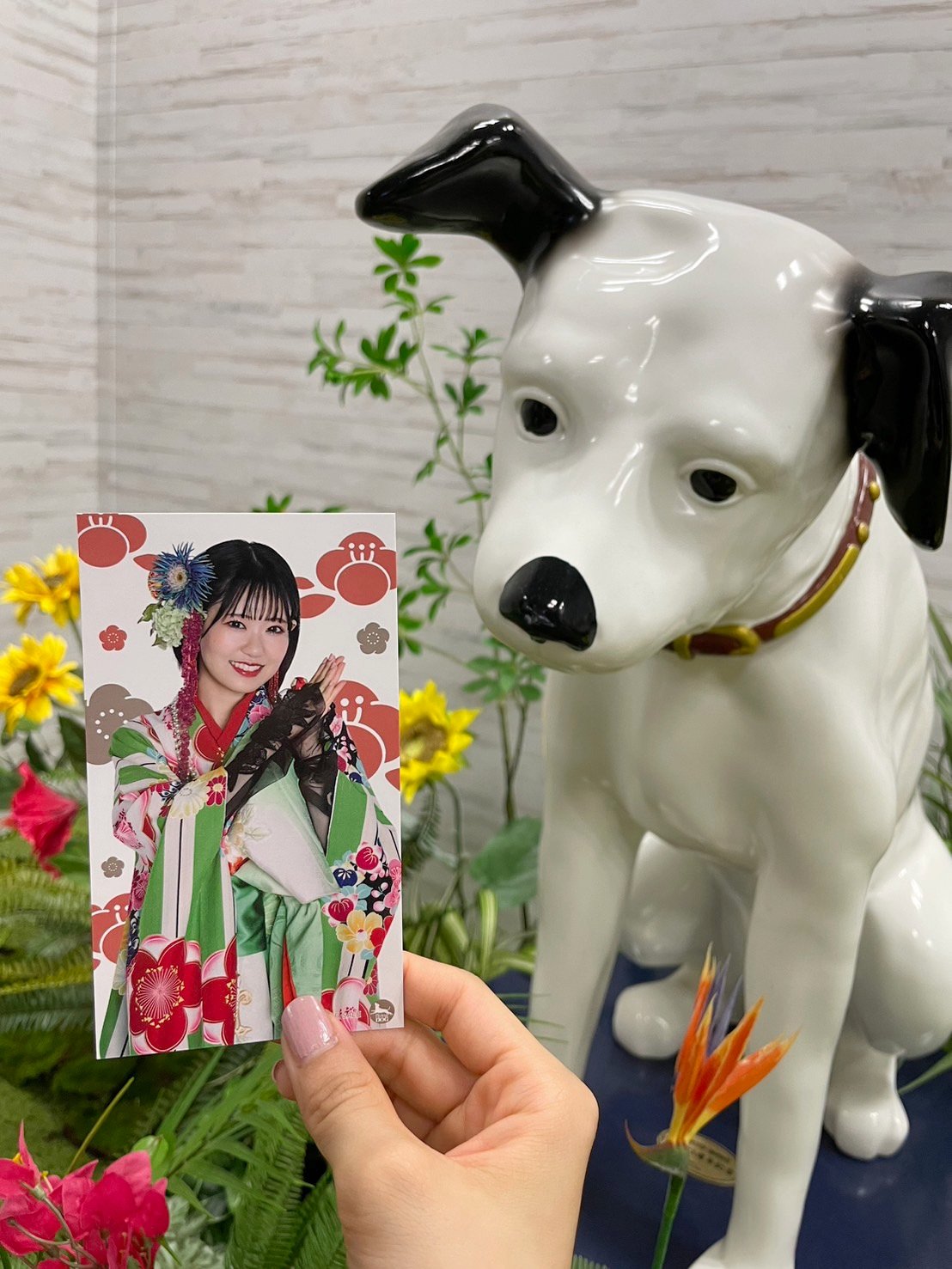 なーちゃん🌈 on X: 