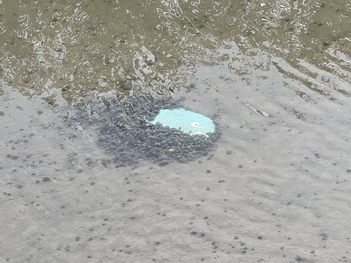 大学院生個人事業主なった　QUINT®︎ tweet media