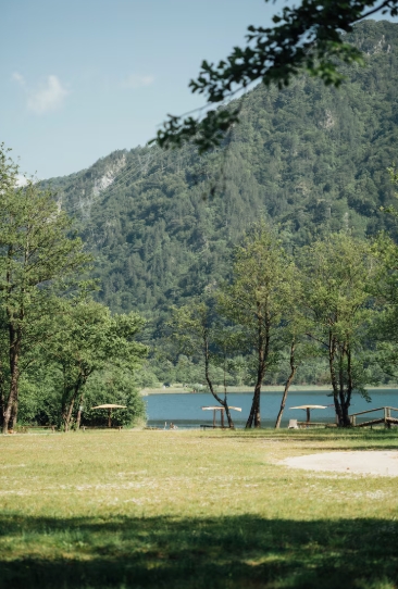 Relax and wait for the next stage.<a href="/opensea/">OpenSea</a> #openseatouchgrass