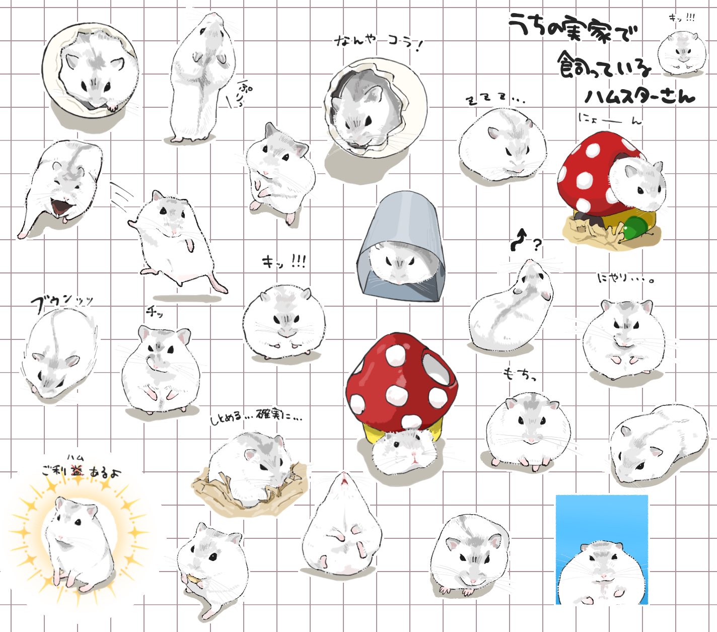 ❤︎とりひきさま専用❤︎ ❤︎とりひきさま専用❤︎