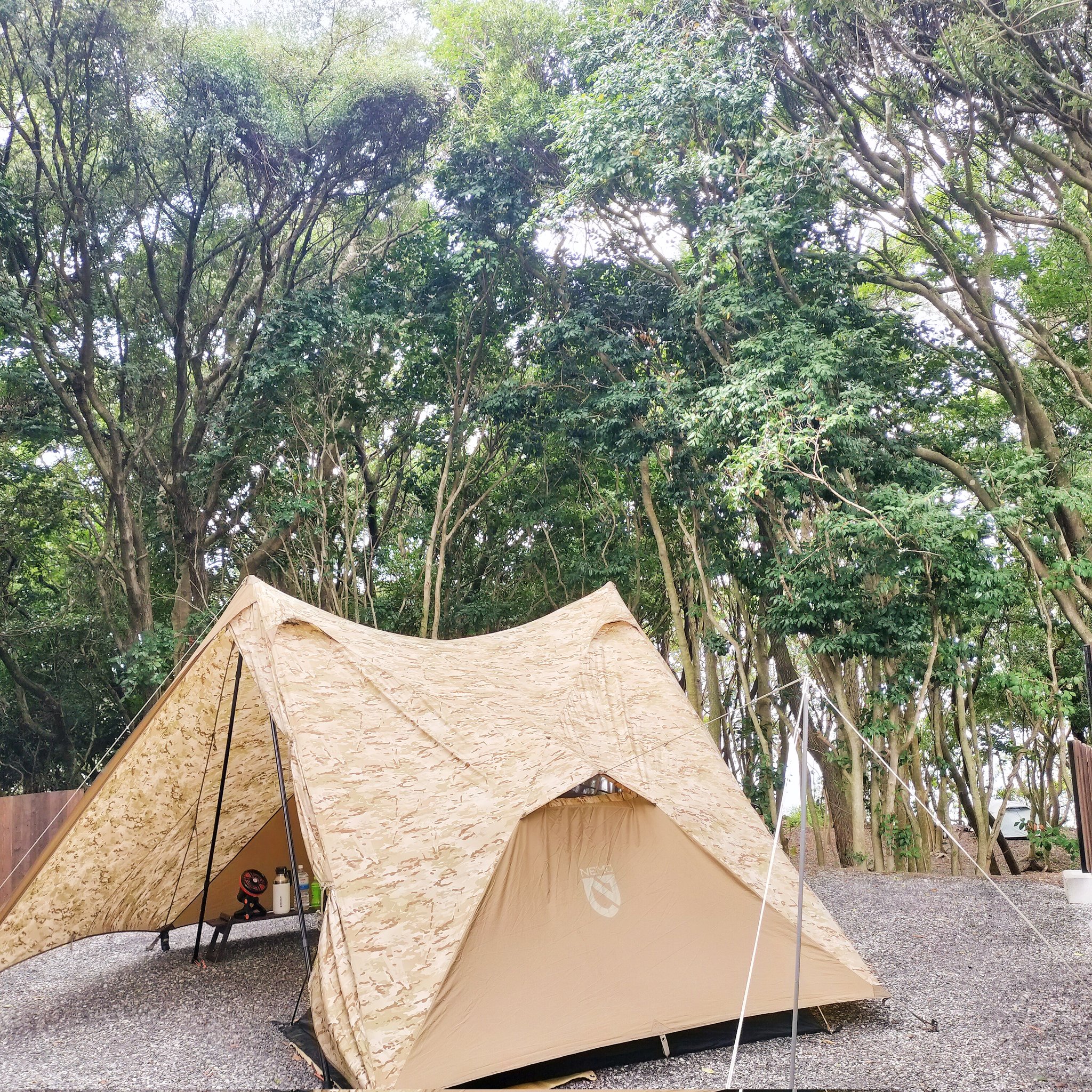 ファブル - Search / X