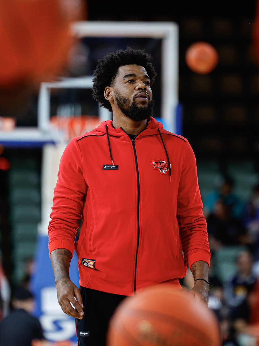 Perth Wildcats tweet media