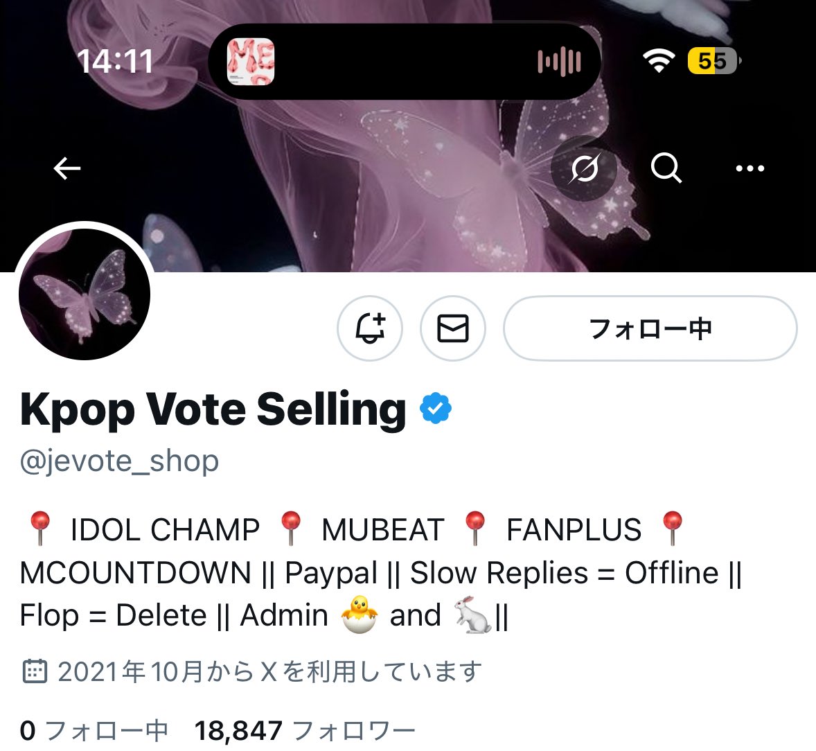 🐻‍❄️ tweet media