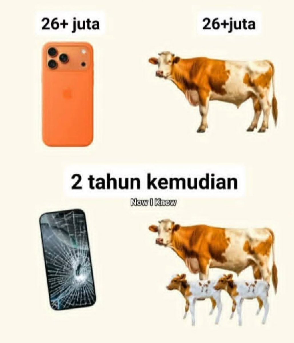 Team beli sapi atau iphone 17?