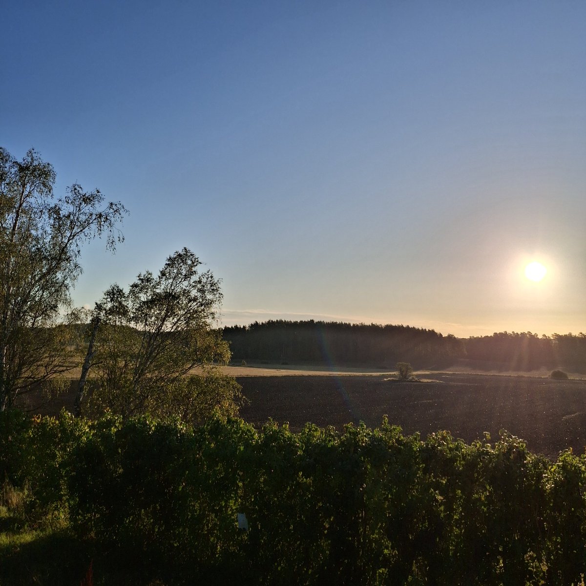 JanekPancernych's tweet image. Pyszniutkiej, kurwa, Soboty😎☕️👋
#szwecjazokna 
#CSB