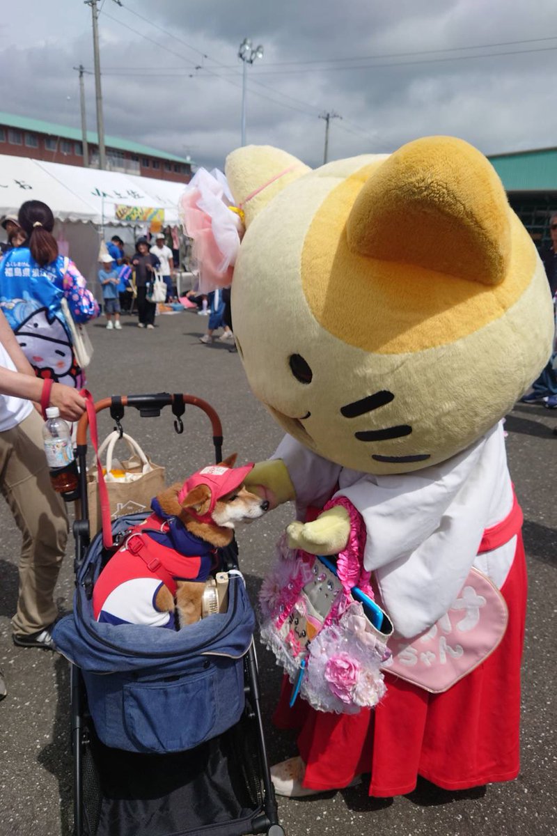 みけちゃん みーにゃん(Mike☆miKe) (@mikemike_mika) / X