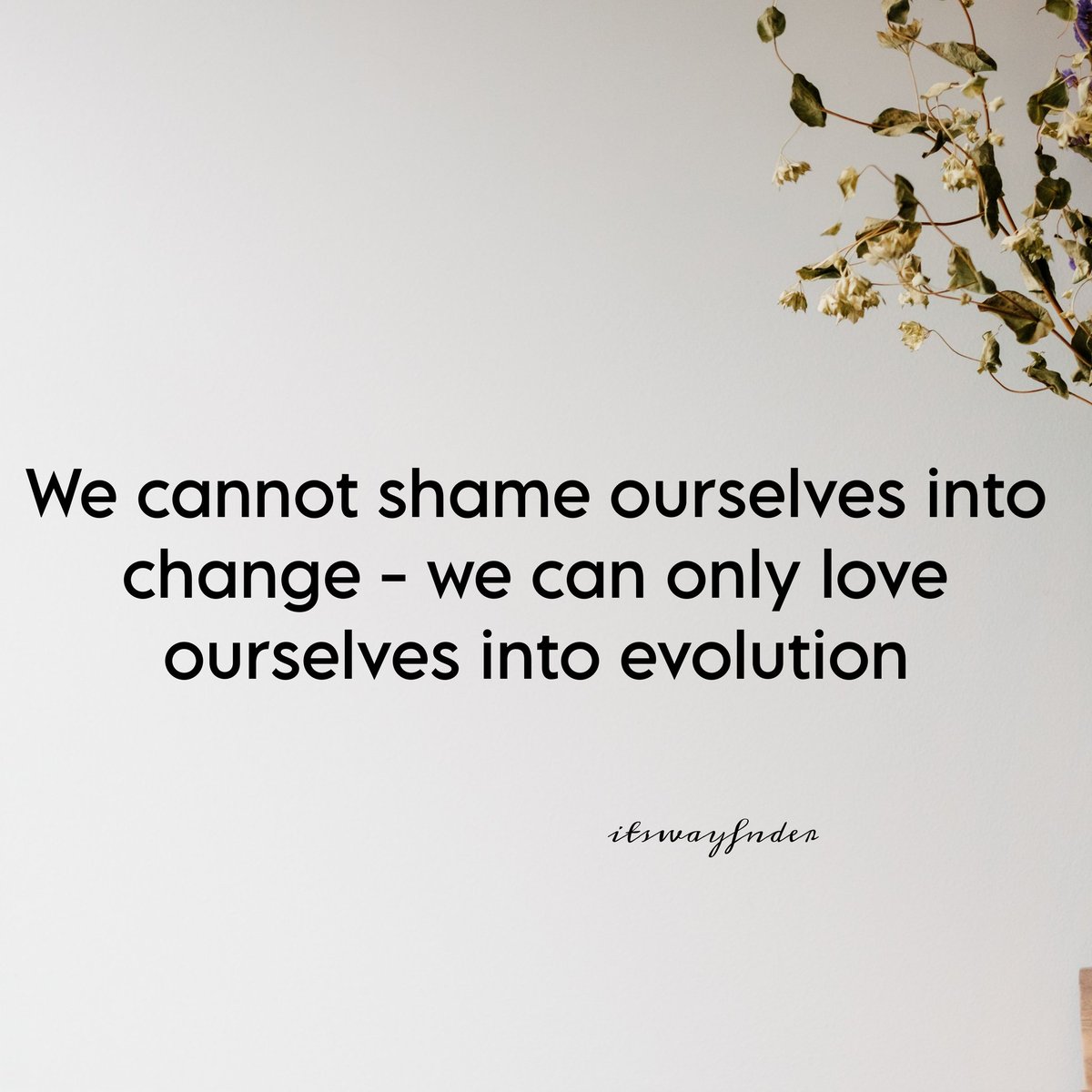 Shier (@itswyfndr) on Twitter photo 