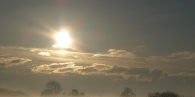 alexnesspoetry.blogspot.com/2025/09/year-w…  Without a Summer