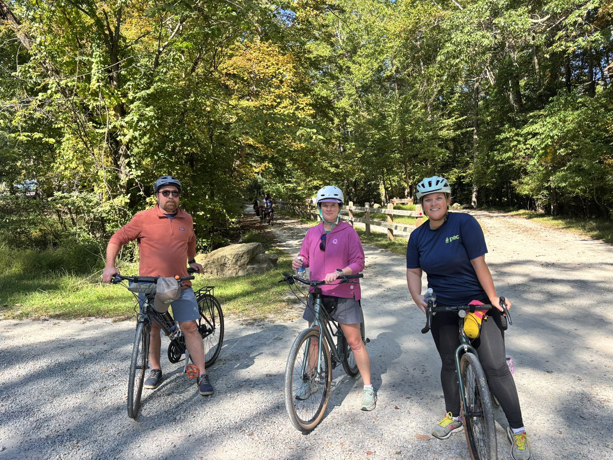 Tom Gilbert tweet media