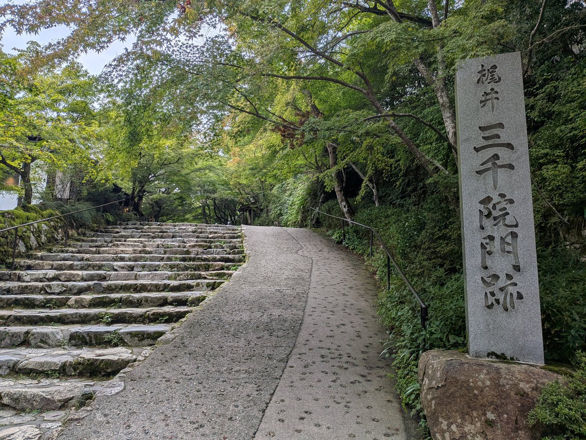 pirobu05's tweet photo. 京都
寂光院と三千院
#京都 https://t.co/ZuPmRY9W6M