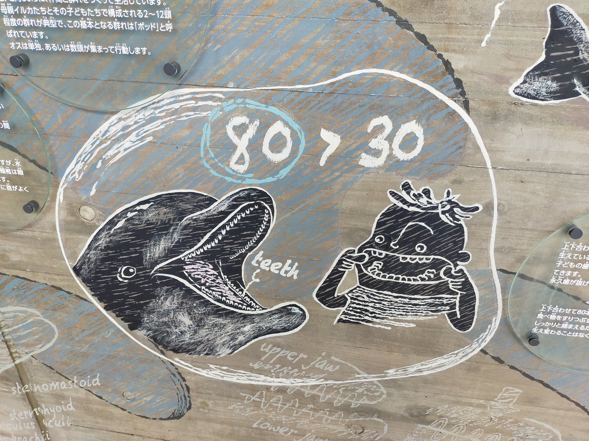 そういう大会かと思った