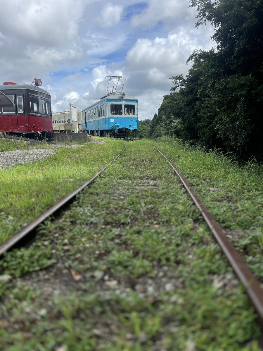 おはようございます🌞

三連休が始まりましたね〜

千葉県いすみ市にあるポッポの丘は
土,日,月曜日　10:00〜16:00まで営業中🈺

皆様のご来場をお待ちしております🙇