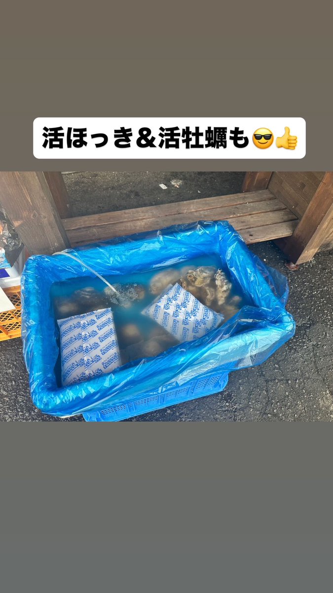marusenhokuto's tweet photo. おはようございます😊
本日も宜しくお願いします🙏 https://t.co/bXwa3pMDlV